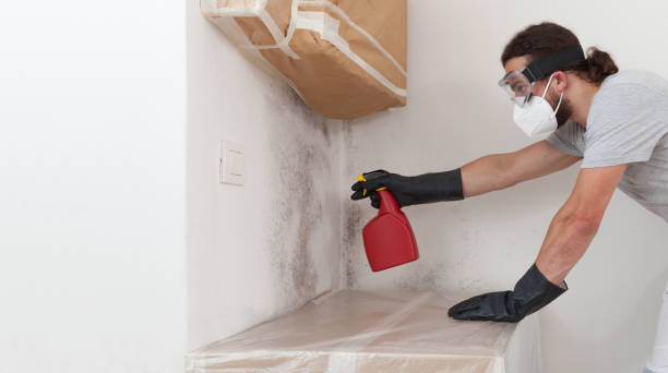 Professional Mold Testing technician working in Weston, MA