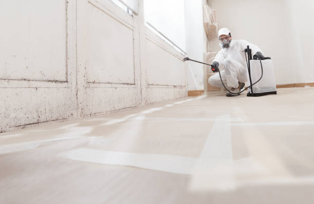 24/7 Emergency Mold Testing experts in Weston, MA