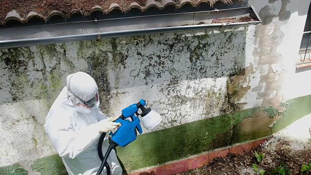 Trusted Mold Testing service in Weston, MA - Cheap Mold Removal